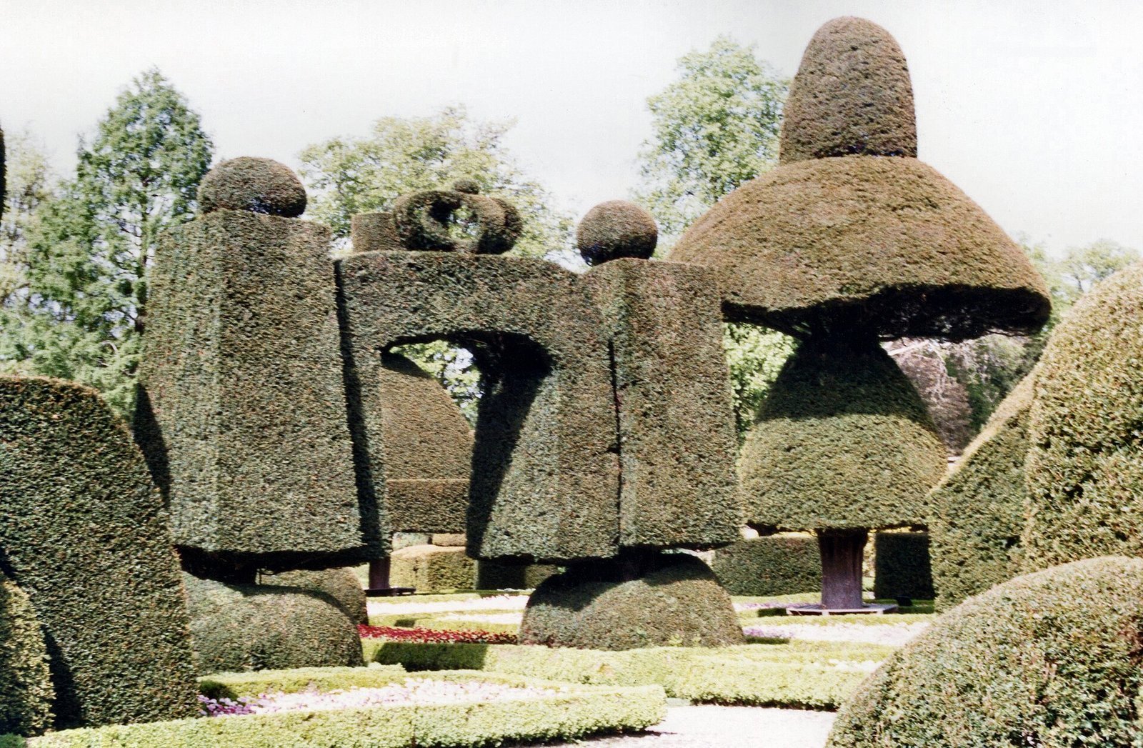 Topiary at Levens Hall.